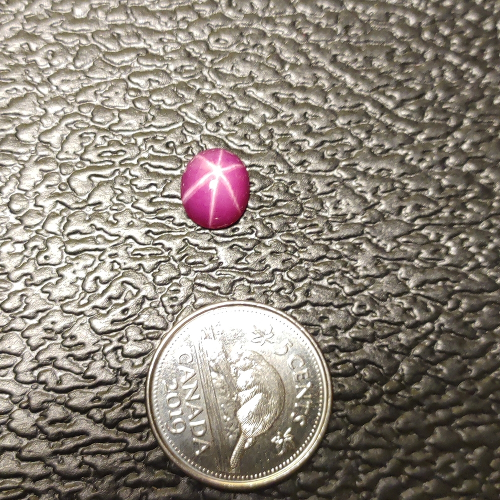 Red Star Sapphire Cabochon #63
